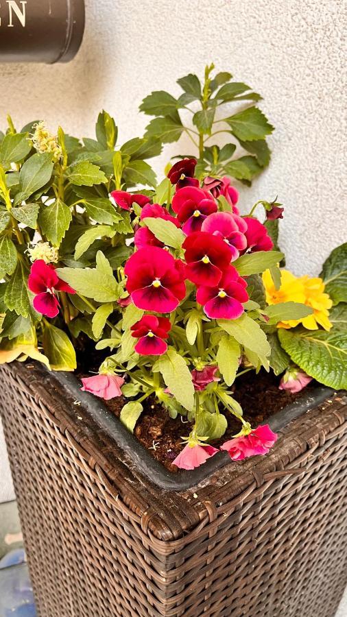 Ferienwohnung Herta Durnau Ngoại thất bức ảnh